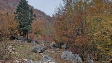 آمادگی کامل شهرداری شیراز برای نخستین بارشهای پاییزی / اخبار فارس - اخبار استانها