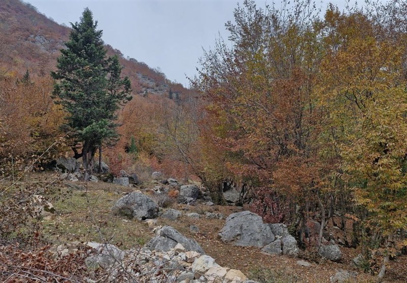 آمادگی کامل شهرداری شیراز برای نخستین بارشهای پاییزی / اخبار فارس - اخبار استانها