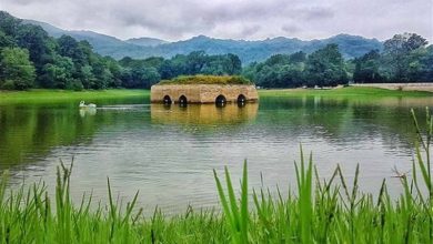 رونمایی از لوح ثبت جهانی باغ عباسآباد همزمان با جشن شب یلدا / اخبار مازندران - اخبار استانها