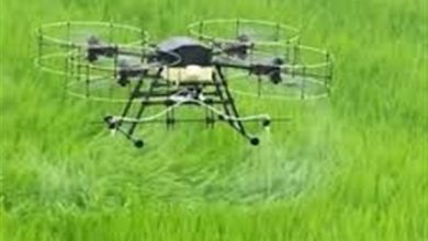 کردستان در مسیر علم و فناوری؛ ضرورت حمایت واقعی از نخبگان و دستاوردهای بومی / اخبار کردستان - اخبار استانها