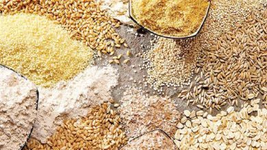 ۵ مانع اصلی در خروج نهادههای دامی از بنادر کشور / نهادههای دامی , بنادر , بوروکراسی , واردات , بانک مرکزی