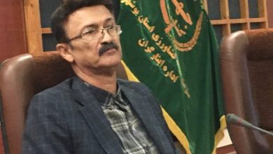 11 محصول کشاورزی باغی و زارعی دارای شناسامه هویتی میشود/ اخبار بوشهر - اخبار استانها