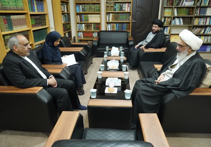 وزارت امور خارجه ستون راهبردی استقلال و پیشرفت ایران است / اخبار بوشهر - اخبار استانها