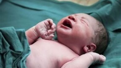 481 مورد انصراف از سقوط و تولد 200 نوزاد سالم؛ حاصل کار نفس در اصفهان / اخبار اصفهان - اخبار استانها