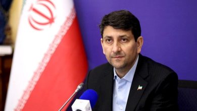 هاشمی: به بخش خصوصی مجوز اپراتور هوش مصنوعی میدهیم / اخبار سیاسی روز , اخبار دولت