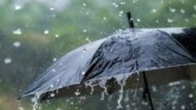 بارشهای پربرکت آذرماه بوشهر را سیراب کرد / اخبار بوشهر - اخبار استانها