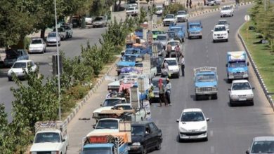 آزمون فرماندار قروه در جمعآوری وانتبارهای میوهفروش / اخبار کردستان - اخبار استانها