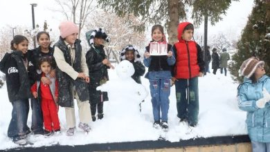جشنواره زمستانی آدمبرفی در همدان؛ جلوهای از شور، نشاط و همدلی شهروندان / اخبار همدان - اخبار استانها