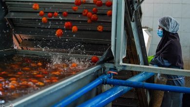 جای خالی صنایع تبدیلی در محصولات راهبردی/590 واحد جدید در گلستان ایجاد میشود / اخبار گلستان - اخبار استانها