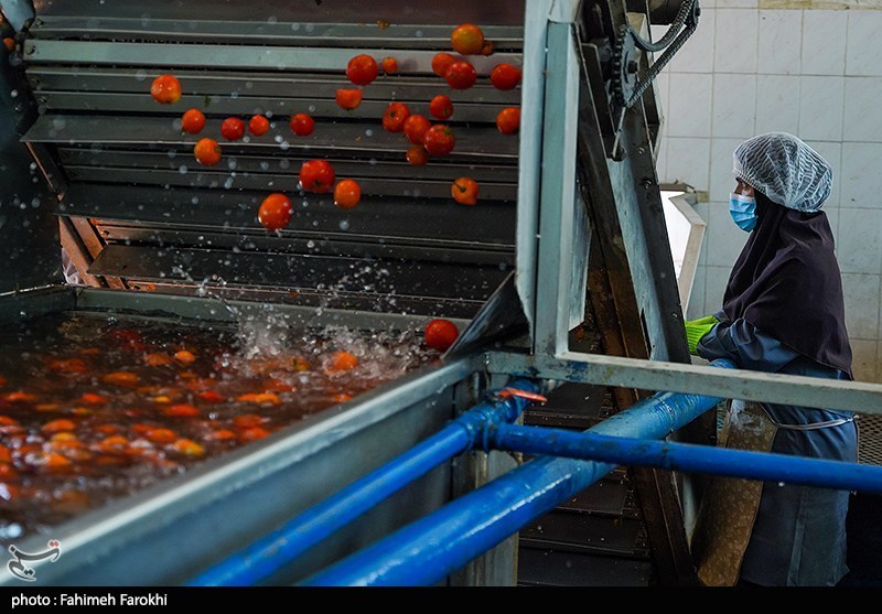 جای خالی صنایع تبدیلی در محصولات راهبردی/590 واحد جدید در گلستان ایجاد میشود / اخبار گلستان - اخبار استانها