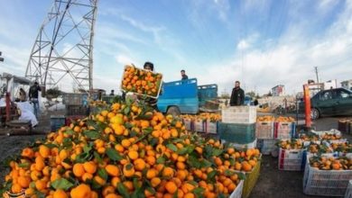 سند قدیمی ترهبار؛ قفل انتقال به میدان جدید زنجان با نظارت حقوقی شکسته میشود / اخبار زنجان - اخبار استانها