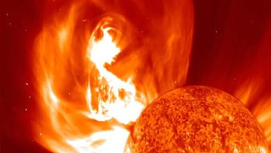 هوش مصنوعی نقشه میدان مغناطیسی خورشید را با دقت بیسابقه ترسیم کرد / هوش مصنوعی , خورشید , میدان مغناطیسی , تلسکوپ خورشیدی , آبوهوای فضایی