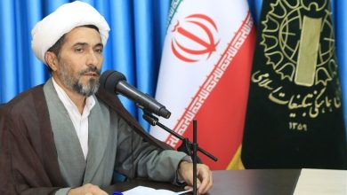 حماسه 9 دی نماد بصیرت و انسجام ملی ملت ایران است / اخبار خراسان جنوبی - اخبار استانها