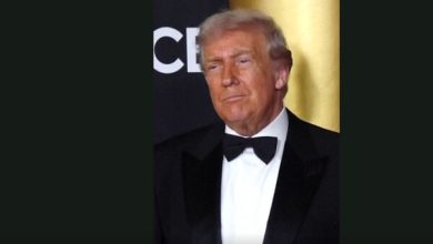 ترامپ از زلنسکی ناامید شد: رئیس جمهور اوکراین طرح صلح آمریکا را نخوانده است / دونالد ترامپ , ولودیمیر زلنسکی , طرح صلح , اوکراین , آمریکا