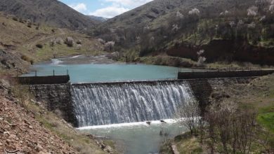 ذخیره بیش از 35 میلیون مترمکعب آب در پشت سازههای آبخیزداری استان بوشهر / اخبار بوشهر - اخبار استانها