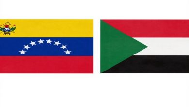وزیران خارجه ونزوئلا و سودان بر مخالفت با نقض قوانین بینالمللی تأکید کردند / ونزوئلا , سودان , روابط دوجانبه , قوانین بینالمللی , صلح و ثبات