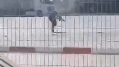 تحویل پیکر شهید عملیات ضد صهیونیستی گذرگاه کرامه به اردن پس از ماهها توقیف / عملیات ضد صهیونیستی , گذرگاه کرامه , عبدالمطلب القیسی , رژیم صهیونیستی , اردن