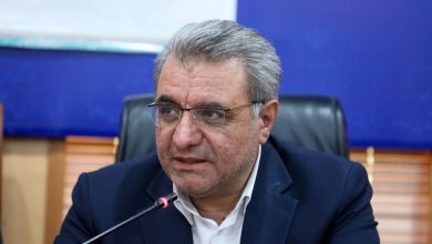 انتقاد معاون وزیر تعاون از تأخیر در اجرای پروژه مسکن کارگری زرندیه / مسکن کارگری , زرندیه , یعقوب رستمی , وزارت تعاون , شورای مسکن