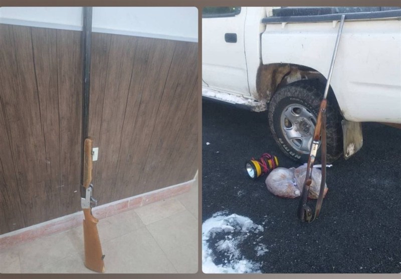 شکارچیان متخلف در کمین محیطبانان؛ از چاراویماق تا بزقوش / اخبار آذربایجان شرقی - اخبار استانها