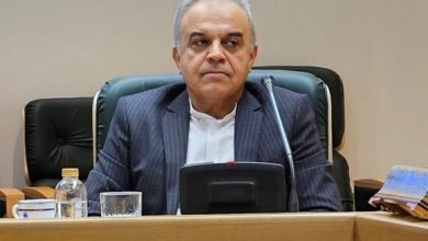 معاون ارزی بانک مرکزی: اقتصاد ایران در شرایط جنگ اقتصادی است / بانک مرکزی , ارز , اقتصاد ایران , تعهد ارزی , صادرات