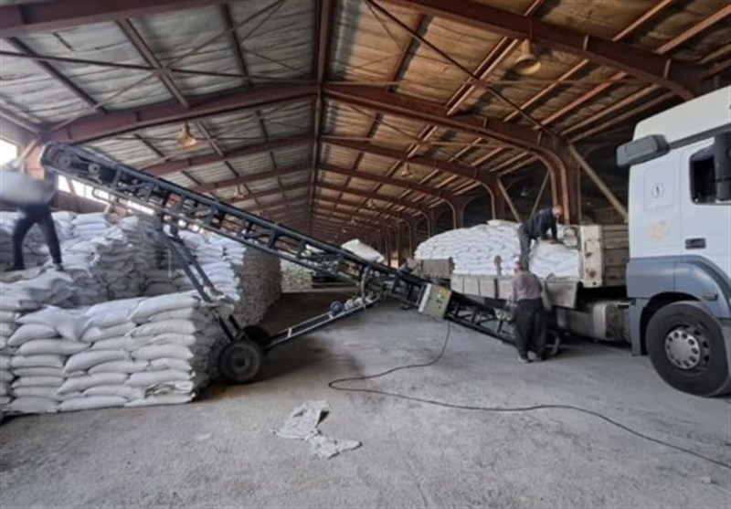 توزیع گسترده کود اوره؛ گامی محکم در حمایت از کشاورزان استان سمنان / اخبار سمنان - اخبار استانها