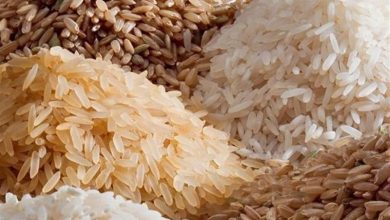 گفتوگو |توزیع 1800 تن برنج هندی تنظیم بازاری در خراسان رضوی/برنج پاکستانی تا 2 هفته آینده / اخبار خراسان رضوی - اخبار استانها