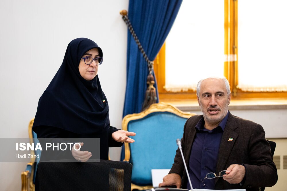 مهاجرانی و پورمحمدی نشست خبری مشترک برگزار میکنند / مهاجرانی , پورمحمدی , بودجه , هیئت دولت , سازمان برنامه و بودجه