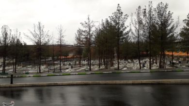 تداوم بارشها در فارس تا هفته آینده در فارس / اخبار فارس - اخبار استانها