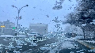 پایان پاییز با برف و سرما در خراسان شمالی+تصاویر / اخبار خراسان شمالی - اخبار استانها