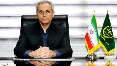 6.2 درصد سیبزمینی کشور در کردستان تولید میشود/ اخبار کردستان - اخبار استانها