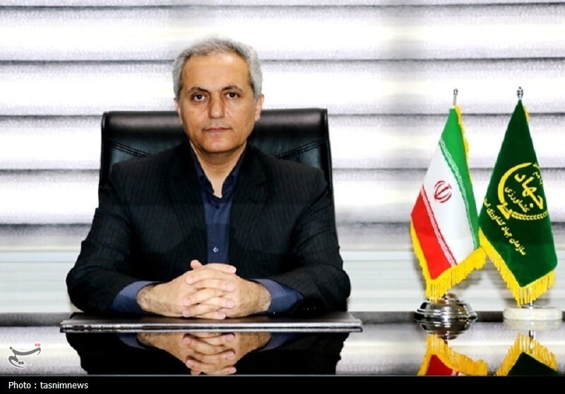 6.2 درصد سیبزمینی کشور در کردستان تولید میشود/ اخبار کردستان - اخبار استانها