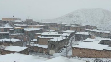 بارش اولین برف پاییزی در قهستان همزمان با فعالیت سامانه بارشی / اخبار خراسان جنوبی - اخبار استانها