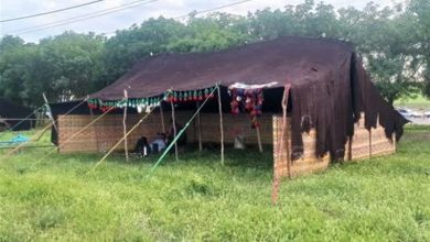 استقرار کامل عشایر کوچرو کرمانشاه در مناطق قشلاقی / اخبار کرمانشاه - اخبار استانها