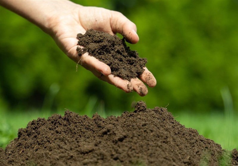 خاک سالم کلید تامین امنیت غذایی است؛ نباید به نقطه بیبازگشت برسیم / اخبار اصفهان - اخبار استانها