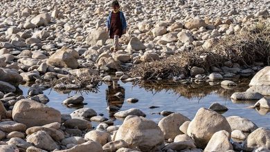 کاهش 42 درصدی بارش در لرستان؛ خشکسالی ادامه دارد / اخبار لرستان - اخبار استانها