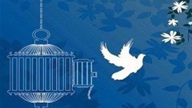 هدیه زندگی در آستانه روز پدر؛ رهایی از قصاص دو پدر در گنبدکاووس / اخبار گلستان - اخبار استانها