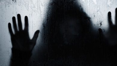 اغفال دختر دانشجو به بهانه ازدواج در شمال استان تهران / اخبار استان تهران - اخبار استانها