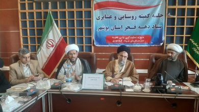 تدوین برنامههای ویژه دهه فجر در روستاهای استان بوشهر / اخبار بوشهر - اخبار استانها