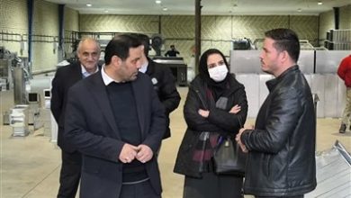 تولیدکنندگان در مسیر توسعه حمایت میشوند / اخبار البرز - اخبار استانها