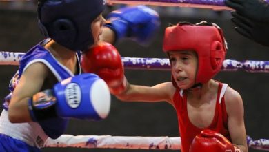 دعوت دو بوکسور کردستانی به اردوی تیم ملی نونهالان کشور / اخبار کردستان - اخبار استانها