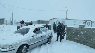 جاده اردبیل - سرعین زیر کولاک و برف / اخبار اردبیل - اخبار استانها
