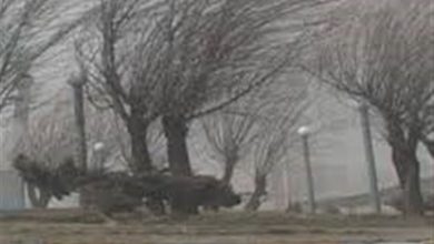 تندباد اردبیل را درمینوردد / اخبار اردبیل - اخبار استانها