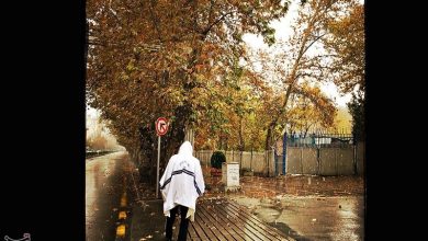 افزایش 87درصدی بارشها در خراسانجنوبی / اخبار خراسان جنوبی - اخبار استانها