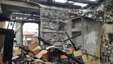 گوشهای از وحشیگری تروریستهای مسلح در گلستان+فیلم / اخبار گلستان - اخبار استانها