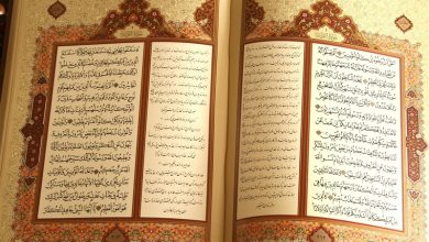 تشخیص بهترین ترجمه نیازمند شناخت صحیح زبان معیار است / اخبار قم - اخبار استانها