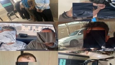 دستگیری 10 نفر از لیدرهای اصلی اغتشاشات در مرودشت / اخبار فارس - اخبار استانها