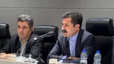 معاون رئیس جمهور: از تعاونیهای اشتغال زنان حمایت میکنیم / اخبار خراسان رضوی - اخبار استانها