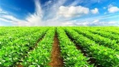 برگزاری نشست صمیمی با محوریت نوآوری و تابآوری بخش کشاورزی / اخبار اردبیل - اخبار استانها