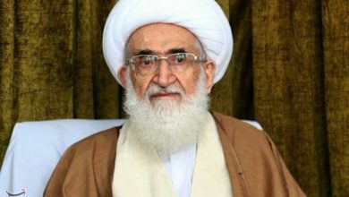 آیتالله نوری همدانی به مرجعیت عراق تسلیت گفت / اخبار قم - اخبار استانها