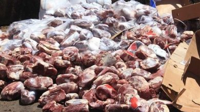 35 تن انواع فرآوردههای دامی غیرمجاز در استان کرمان معدوم شد / اخبار کرمان - اخبار استانها